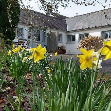 Dinefwr Cottage Carmarthen Exterior foto