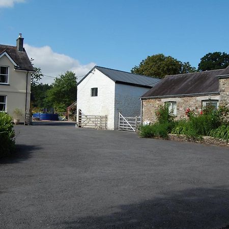 Dinefwr Cottage Carmarthen Exterior foto