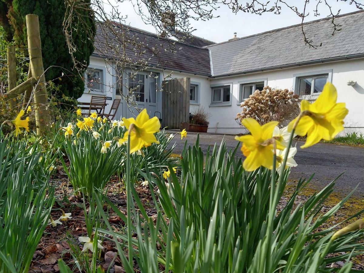 Dinefwr Cottage Carmarthen Exterior foto