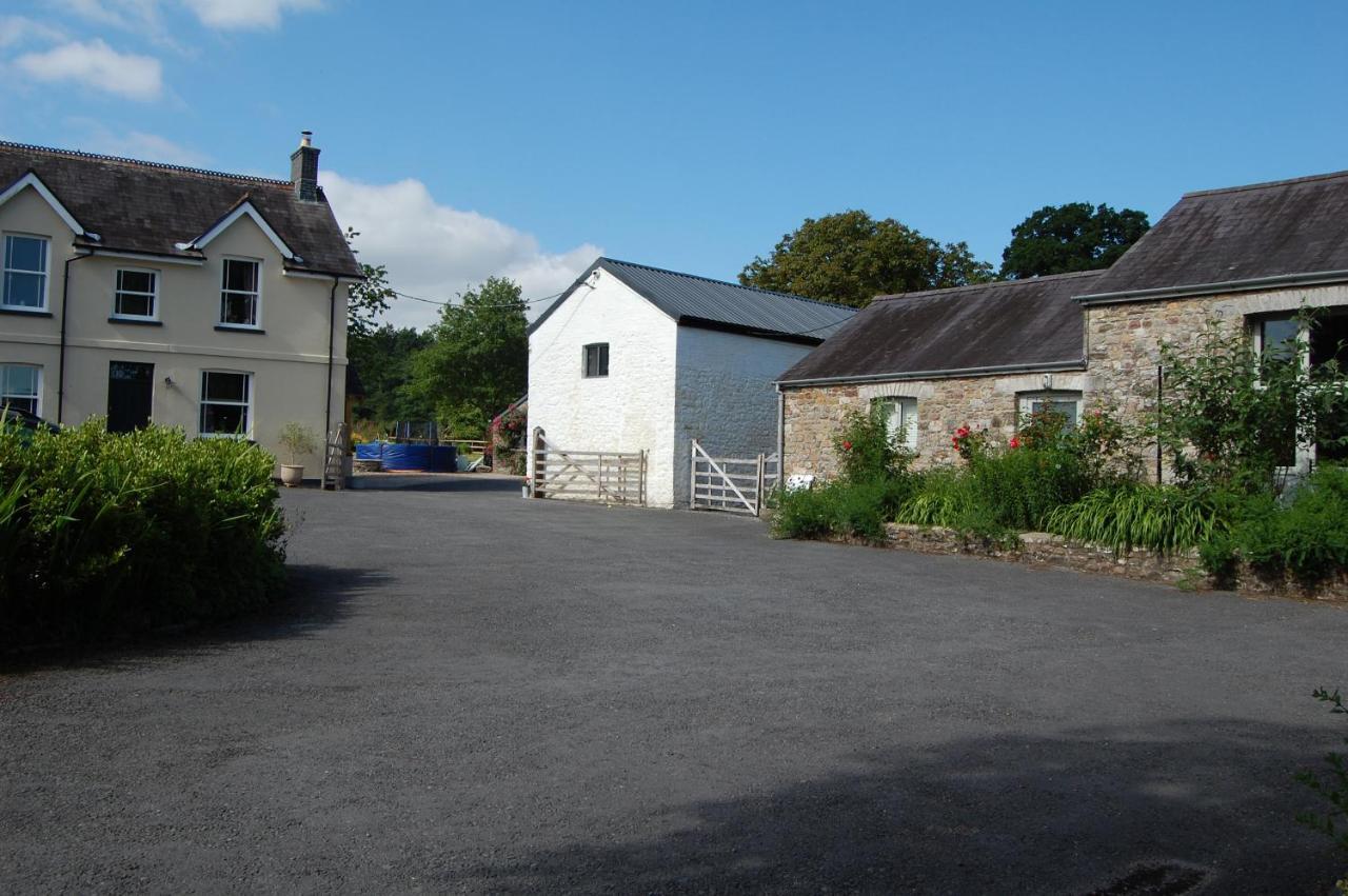 Dinefwr Cottage Carmarthen Exterior foto